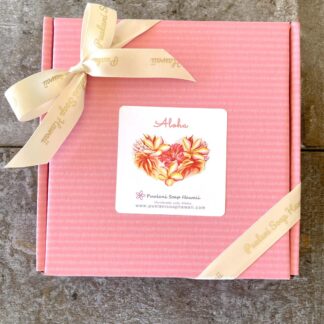 Valentine's Day Soap Gift Set